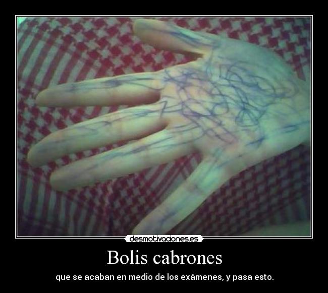 Bolis cabrones - 