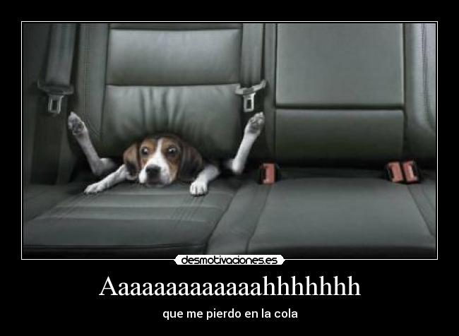 Aaaaaaaaaaaaahhhhhhh -