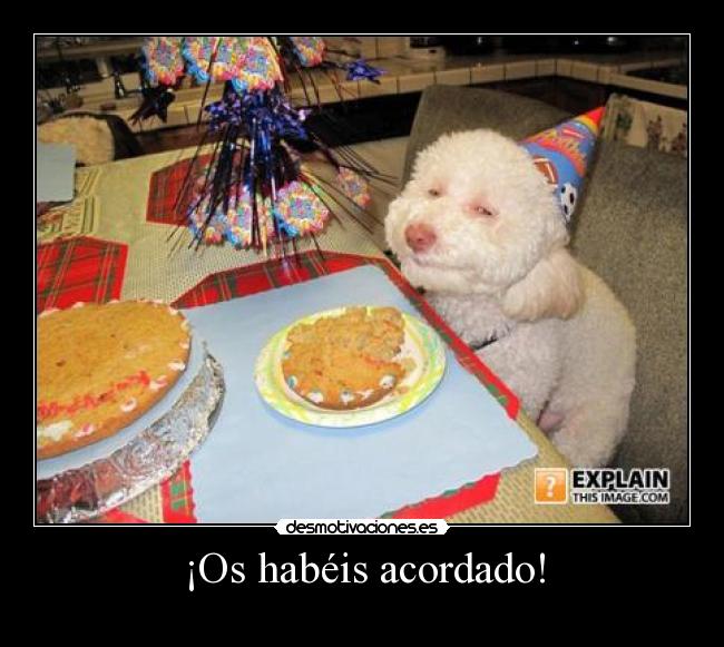¡Os habéis acordado! - 