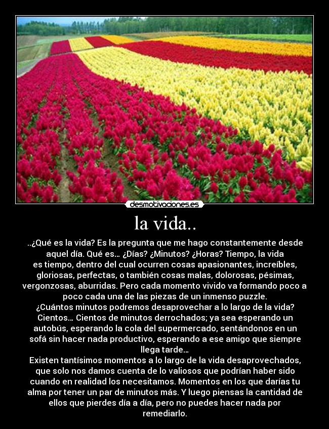 la vida.. -