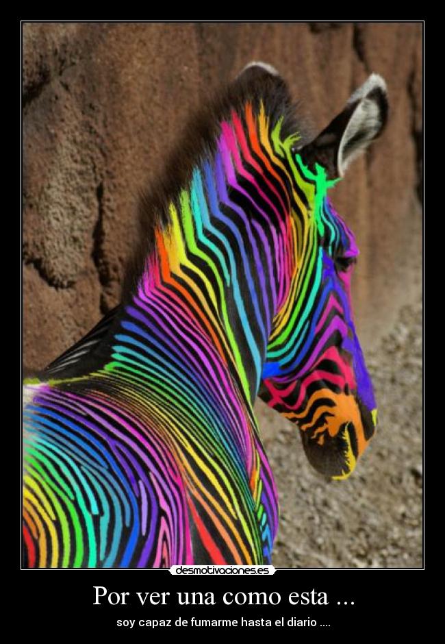 Por ver una como esta ... - soy capaz de fumarme hasta el diario ....