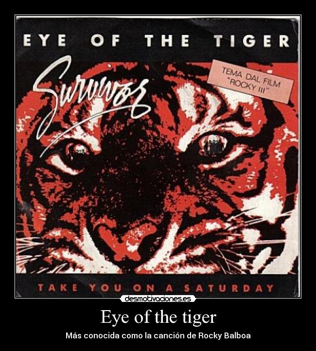 Eye of the tiger -