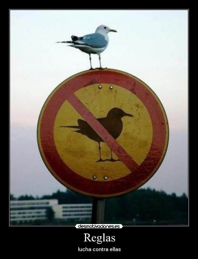 Reglas -