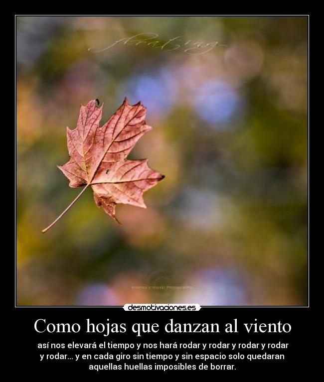 Como hojas que danzan al viento -  así nos elevará el tiempo y nos hará rodar y rodar y rodar y rodar
y rodar... y en cada giro sin tiempo y sin espacio solo quedaran
aquellas huellas imposibles de borrar.