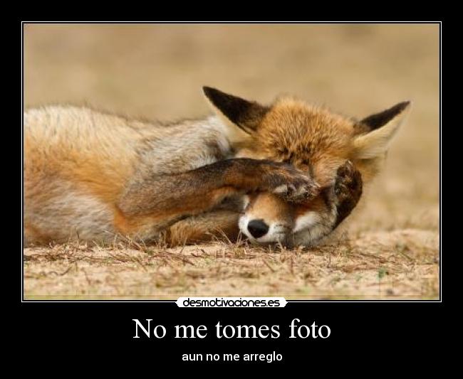 No me tomes foto - aun no me arreglo