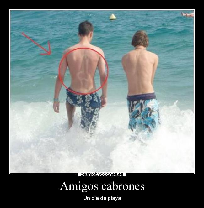 Amigos cabrones - 