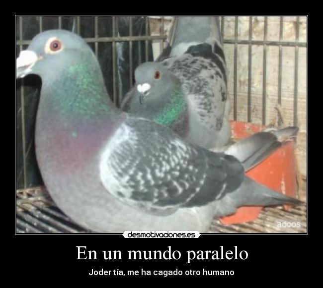 En un mundo paralelo - Joder tía, me ha cagado otro humano