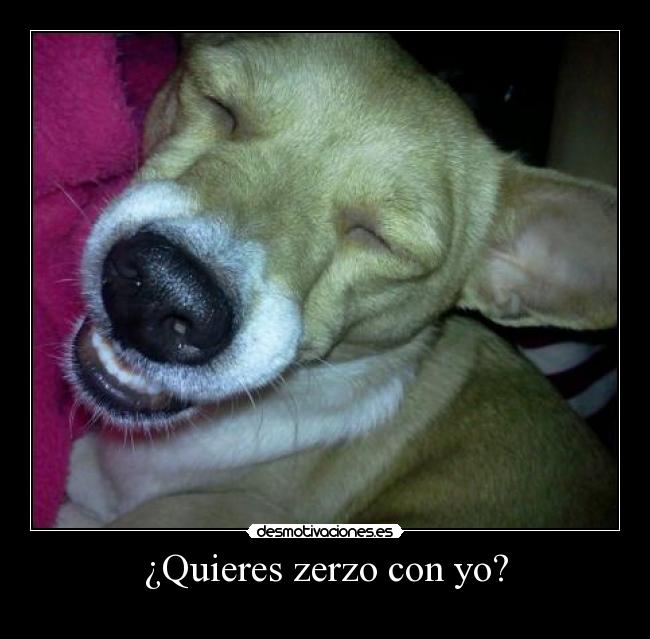 ¿Quieres zerzo con yo? - 