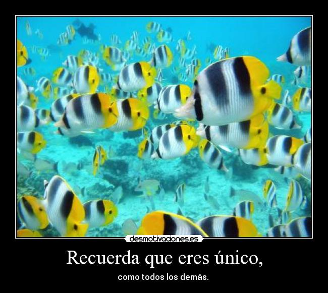 Recuerda que eres único, - como todos los demás. 