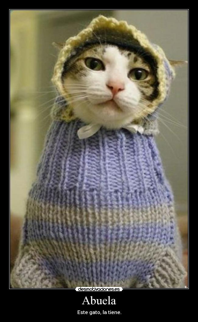 Abuela - 