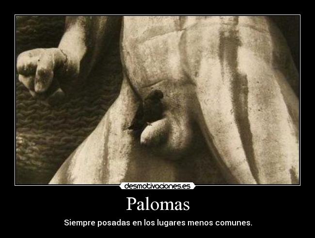 Palomas - 