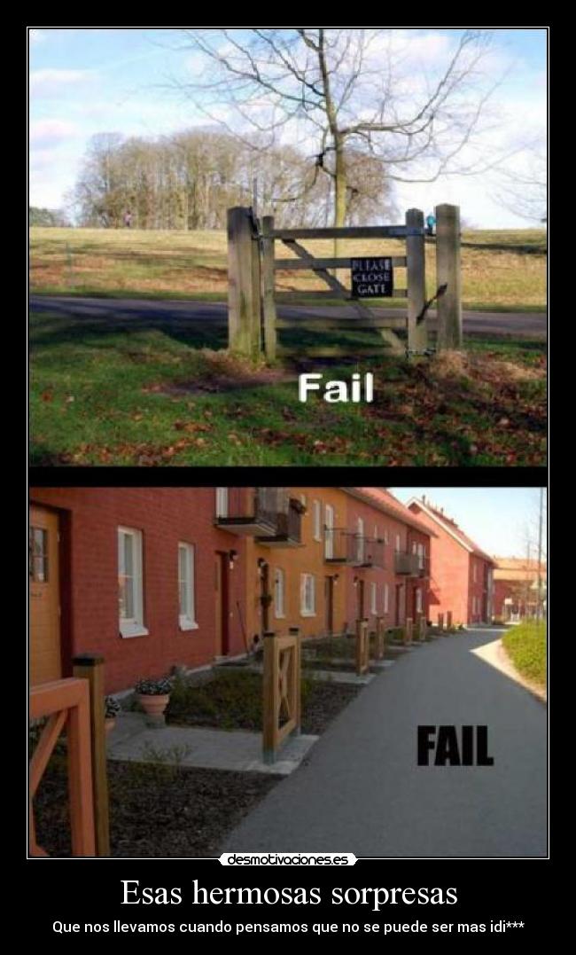 Esas hermosas sorpresas - Que nos llevamos cuando pensamos que no se puede ser mas idi***