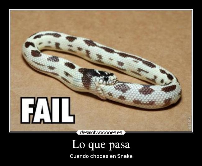 carteles snake desmotivaciones