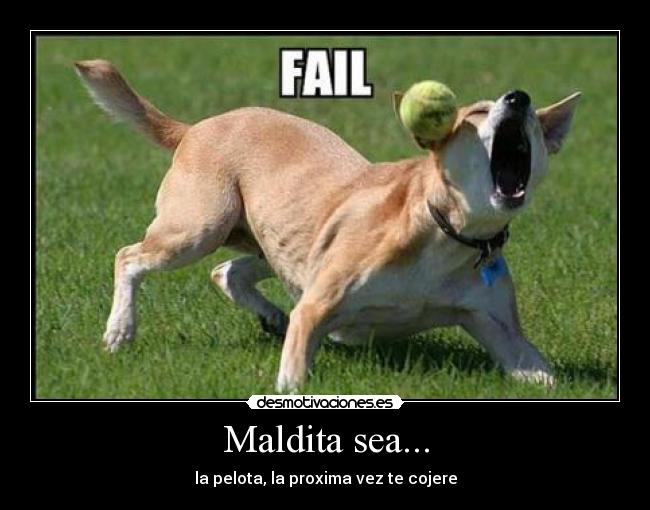 Maldita sea... - la pelota, la proxima vez te cojere