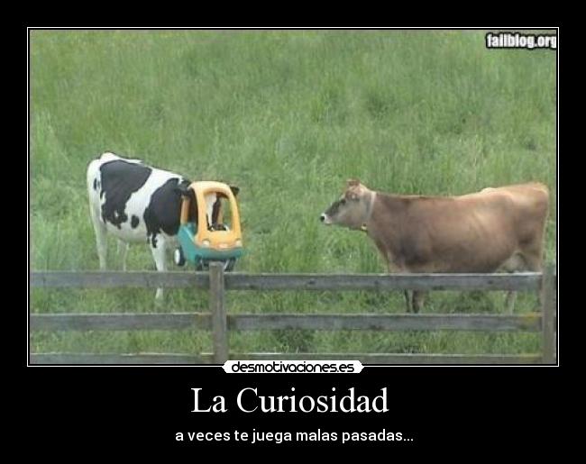 La Curiosidad -