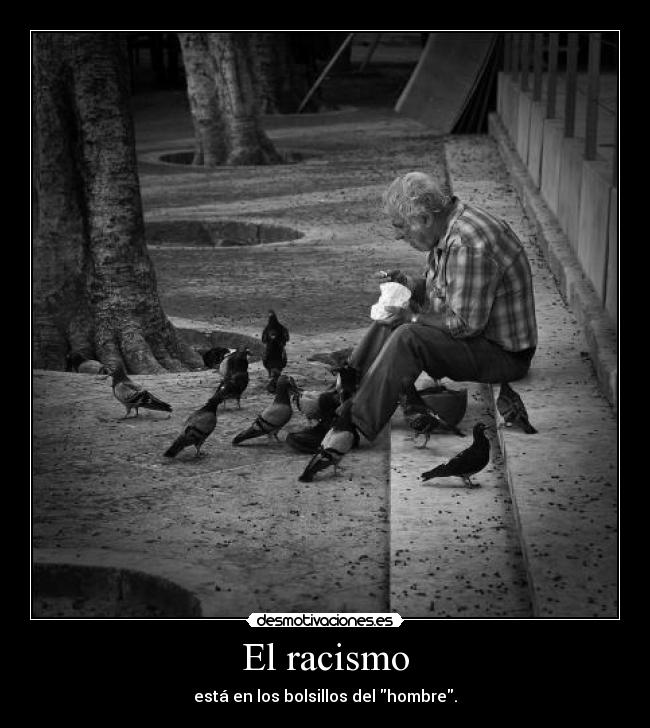 El racismo - 