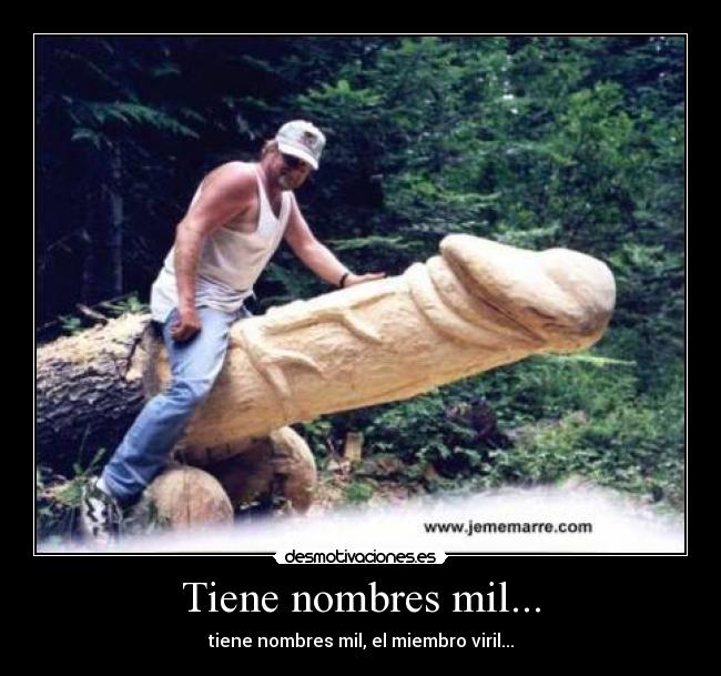 Con que ayuda de los preparados es posible aumentar el miembro