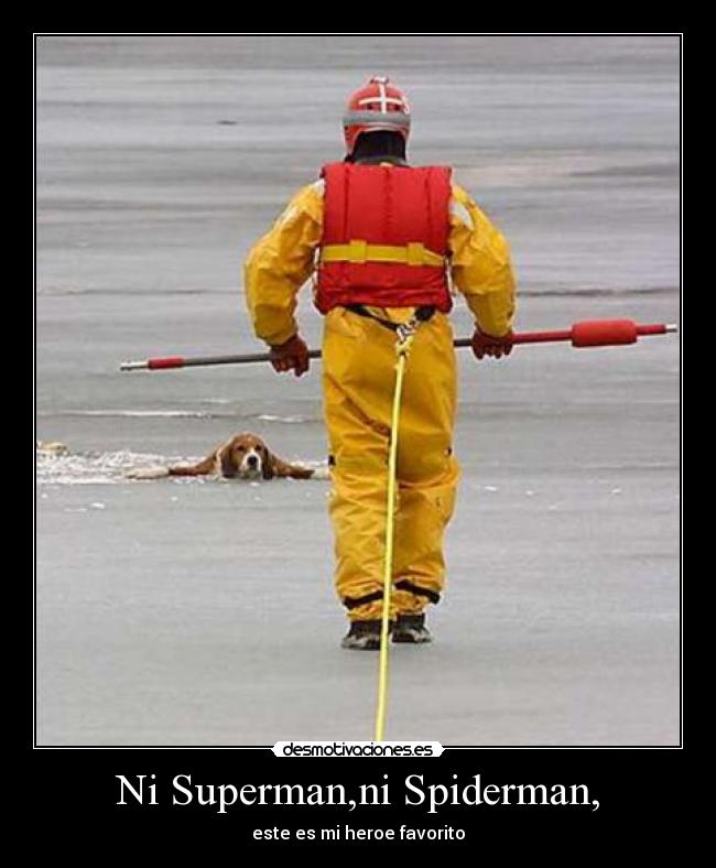 Ni Superman,ni Spiderman, - este es mi heroe favorito