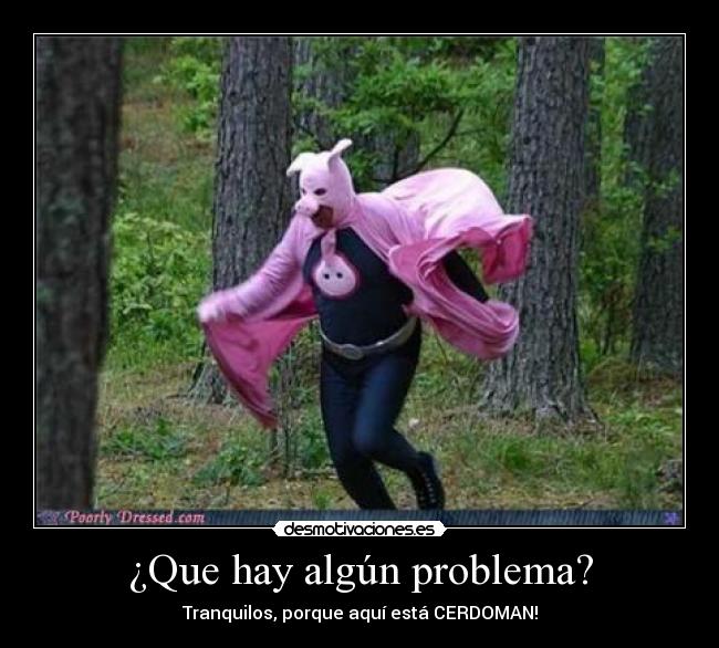 ¿Que hay algún problema? - Tranquilos, porque aquí está CERDOMAN!