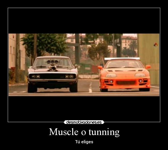 Muscle o tunning - 