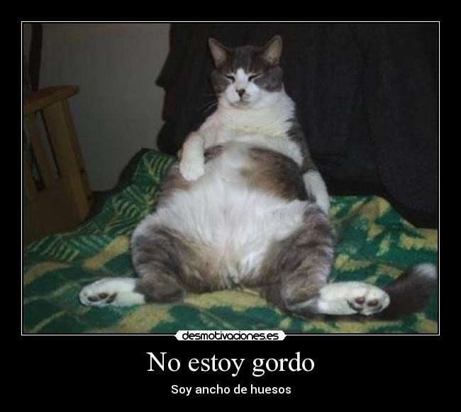 No estoy gordo -