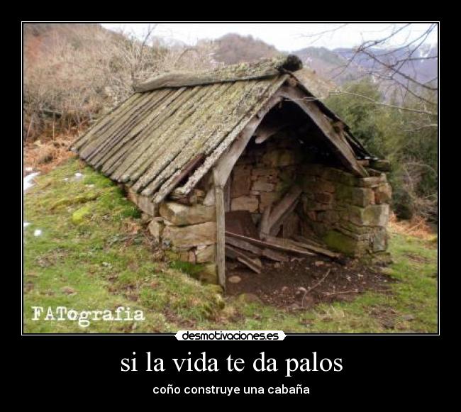 si la vida te da palos - coño construye una cabaña
