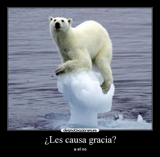 ¿Les causa gracia? -