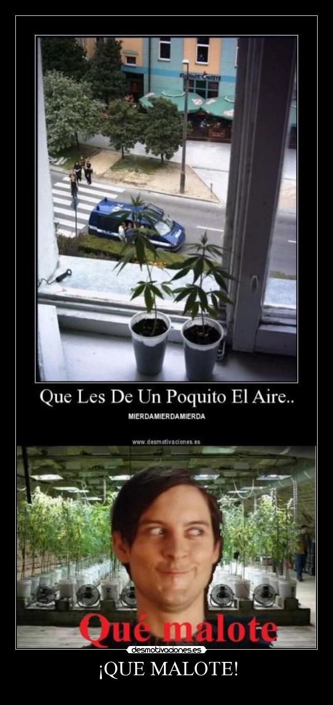 ¡QUE MALOTE! -