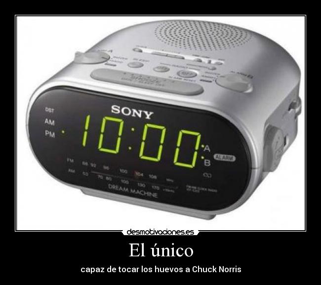 El único - capaz de tocar los huevos a Chuck Norris