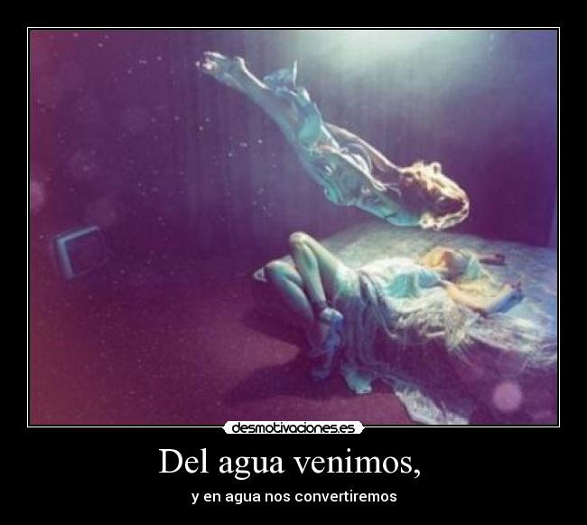 Del agua venimos, -