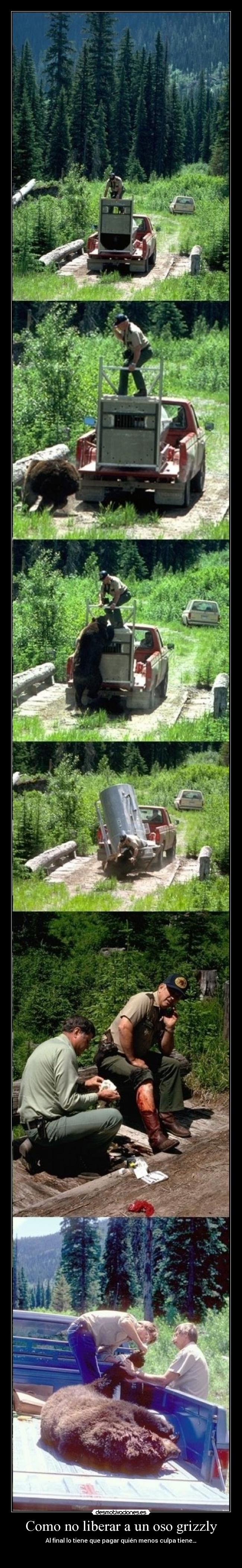 carteles cvbn desmotivaciones