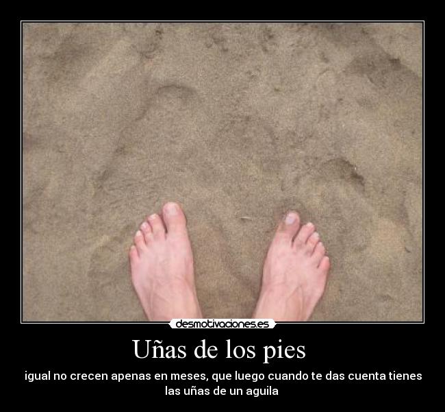 Uñas de los pies  - igual no crecen apenas en meses, que luego cuando te das cuenta tienes
las uñas de un aguila 