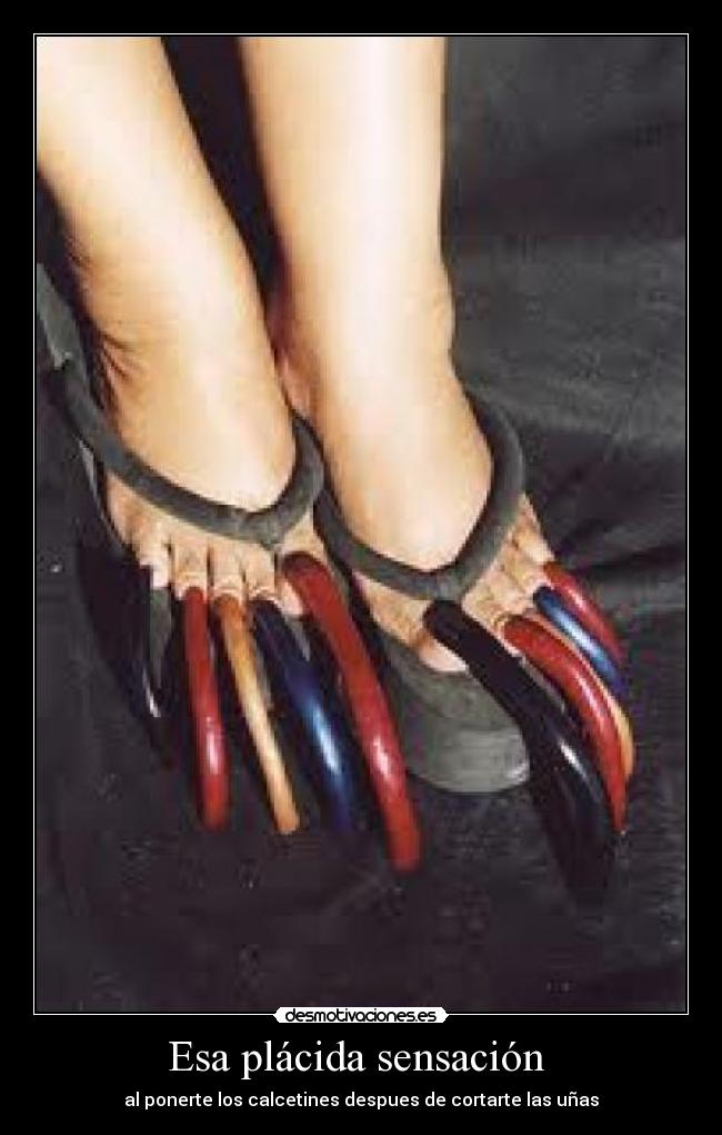 carteles esa placida sensacion desmotivaciones