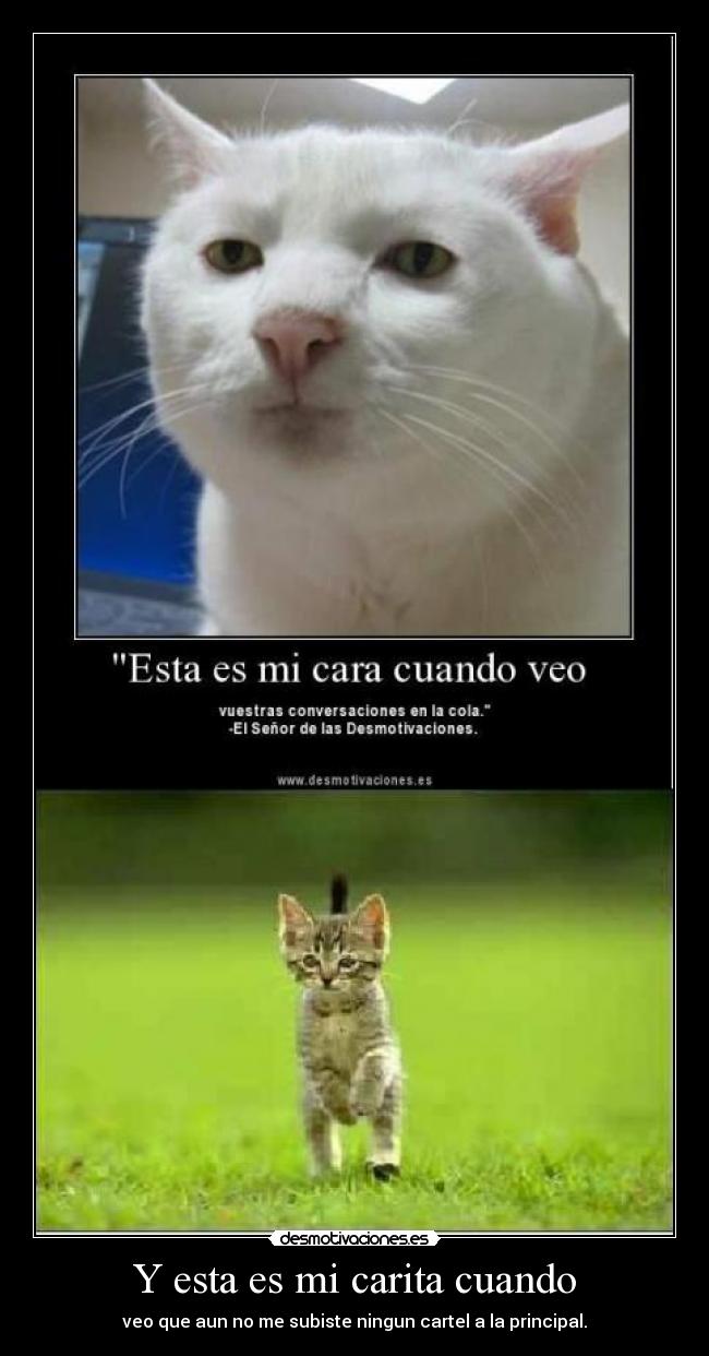Y esta es mi carita cuando -