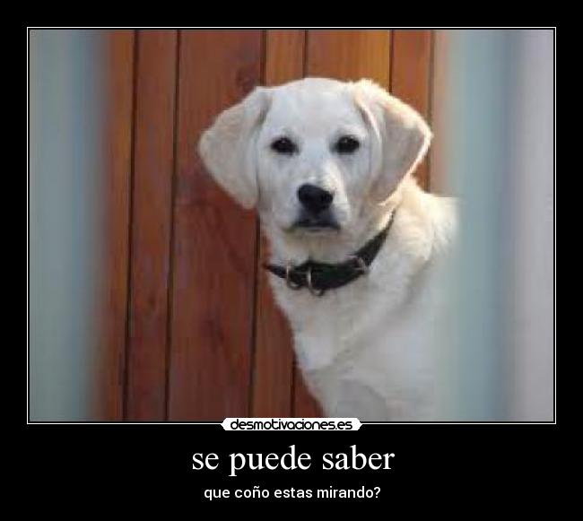 se puede saber - 