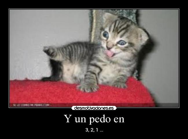 Y un pedo en - 3, 2, 1 ...