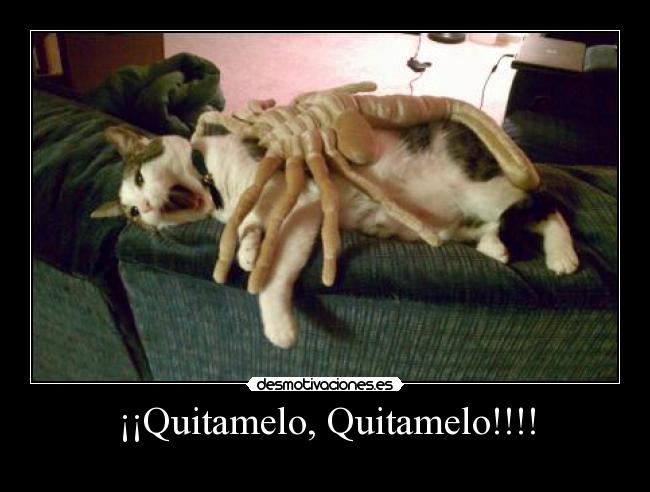 ¡¡Quitamelo, Quitamelo!!!! -