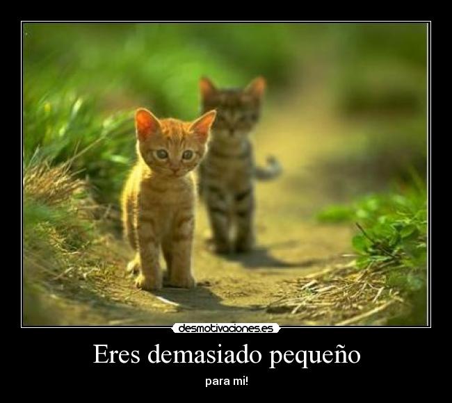 Eres demasiado pequeño - para mi!