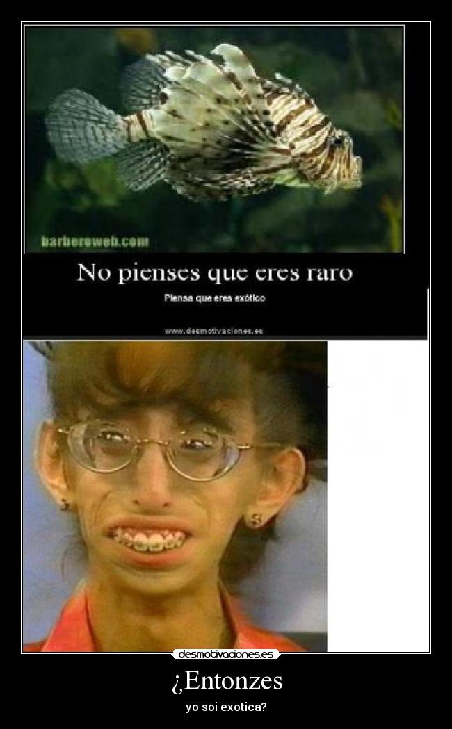 ¿Entonzes - yo soi exotica?