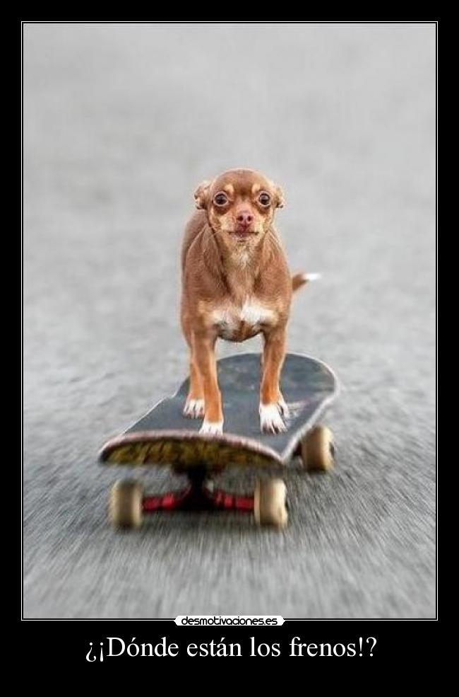 ¿¡Dónde están los frenos!? -
