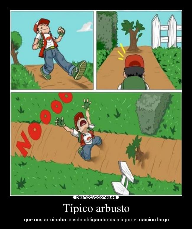 Típico arbusto - que nos arruinaba la vida obligándonos a ir por el camino largo