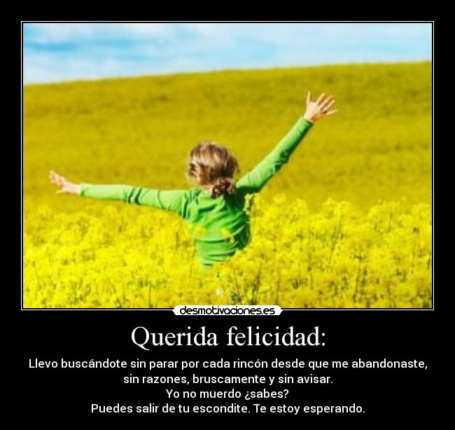 Querida felicidad: -