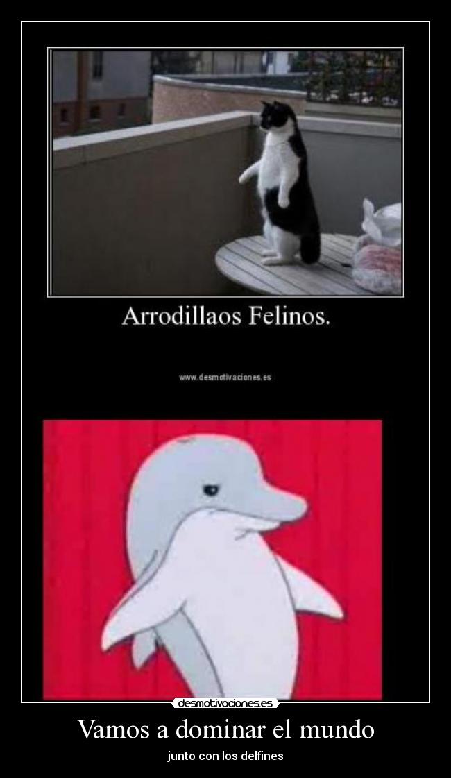 Vamos a dominar el mundo - junto con los delfines