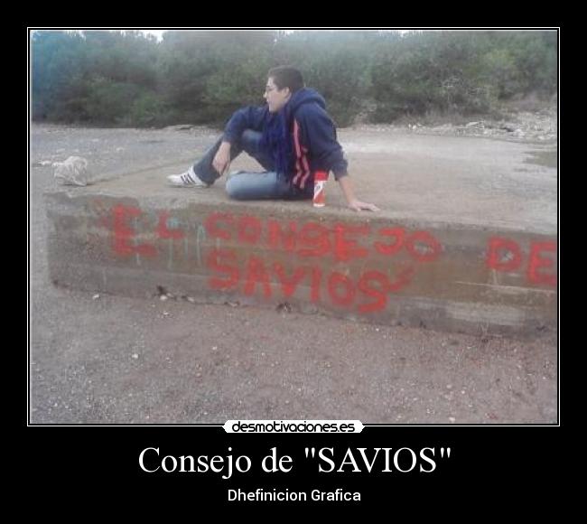 Consejo de SAVIOS - 