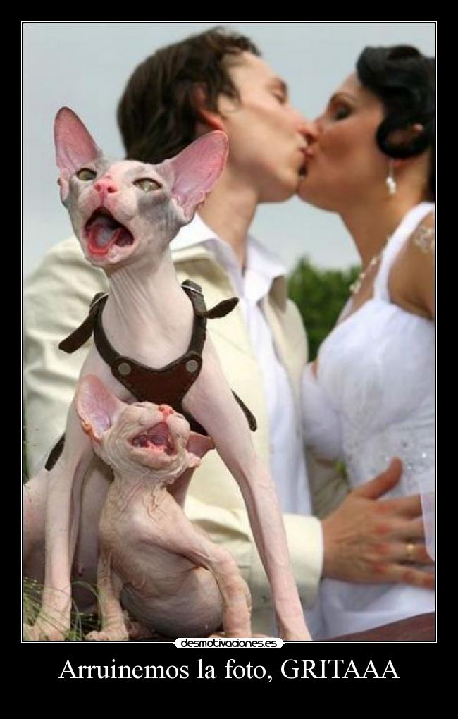 Arruinemos la foto, GRITAAA -