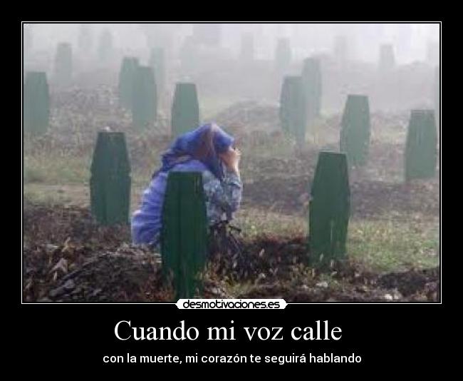 Cuando mi voz calle -