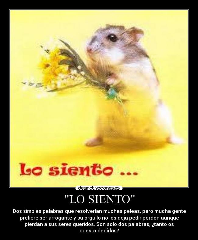 carteles siento pedir perdon palabras dos resolver peleas seres queridos perder tanto cuesta arrogante desmotivaciones