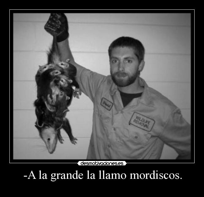 -A la grande la llamo mordiscos. -