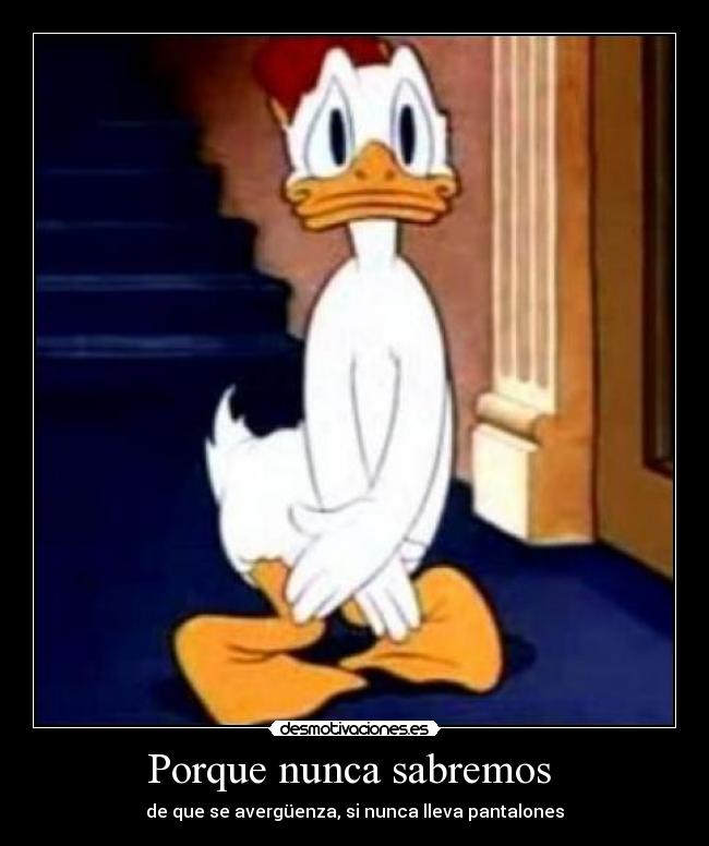 Porque nunca sabremos -