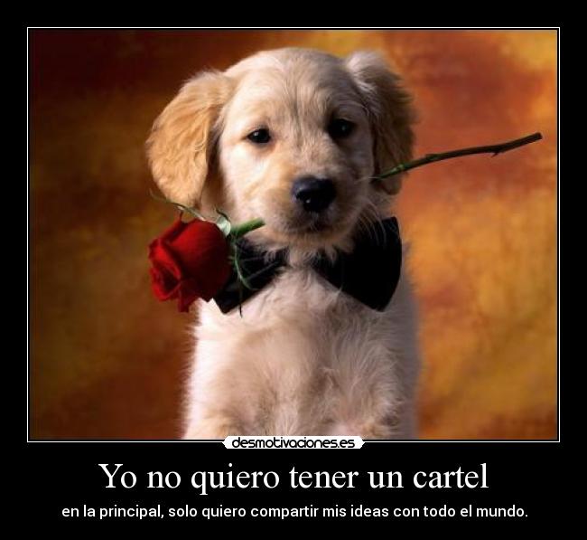 carteles compartir principal tener desmotivaciones